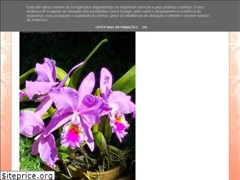 orquidariorecreio.blogspot.com