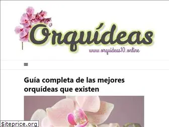 orquideas10.online