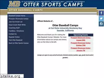 otterbaseballcamps.com
