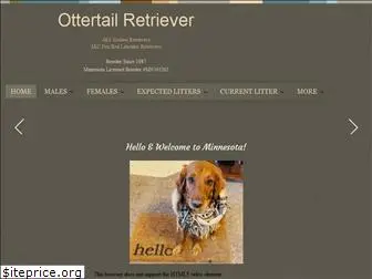 ottertailretrievers.com