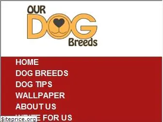 ourdogbreeds.com