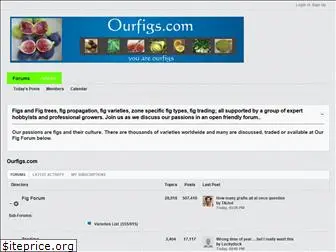 ourfigs.com