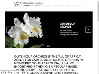 outeniquaorchids.co.za