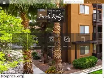 overlookatpuschridgetucson.com