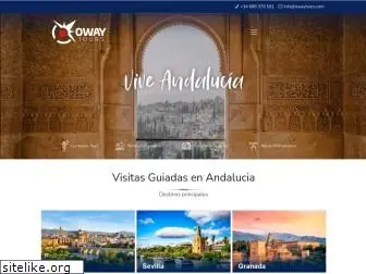 owaytours.com