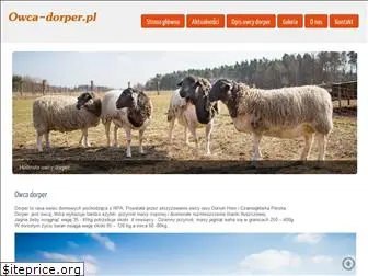 owca-dorper.pl