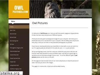 owl-pictures.com