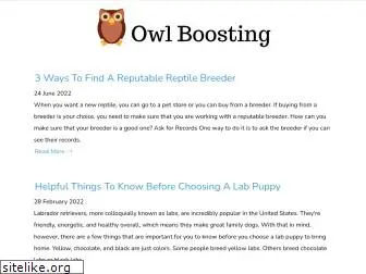 owlboosting.com