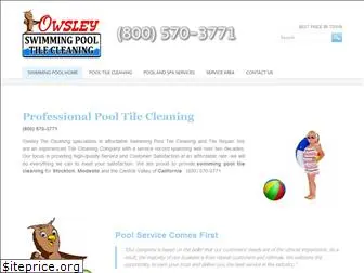 owsleytilecleaning.com