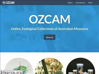 ozcam.org.au