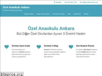 ozelanaokulu.net