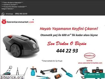 ozerentarimmarket.com