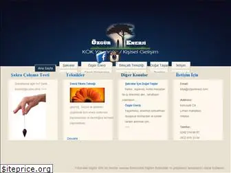 ozgurenerji.com