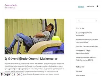 ozlemceseyler.com