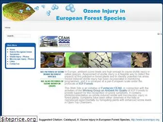 ozoneinjury.org