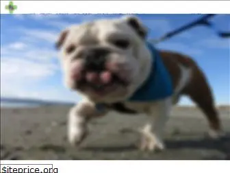 pacificnwbulldogrescue.org