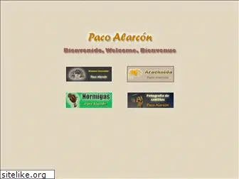pacoalarcon.com