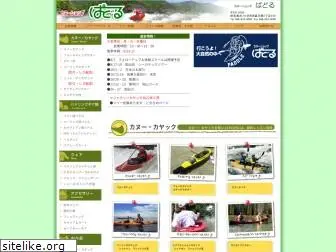 paddle-net.com