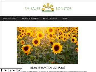 paisajesbonitos.org