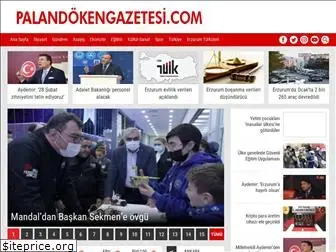 palandokengazetesi.com