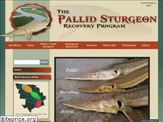 pallidsturgeon.org