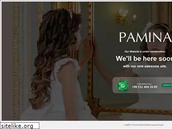 paminakids.com