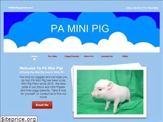 paminipig.com