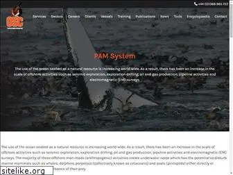 pamsystems.co.uk