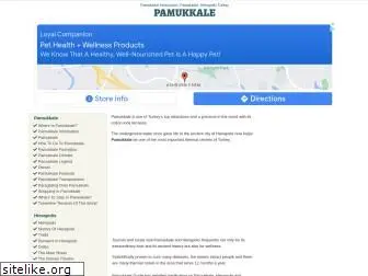 www.pamukkale.net website price