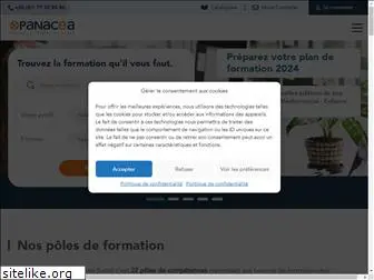 panacea-conseil.com