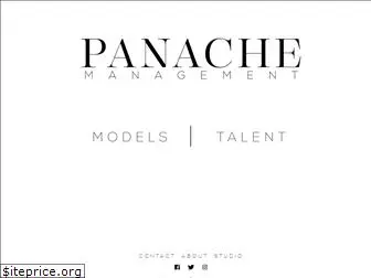 panachemanagement.com