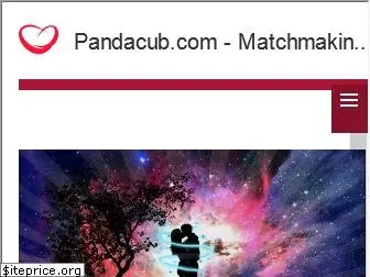 pandacub.com