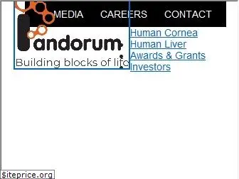 pandorumtechnologies.com