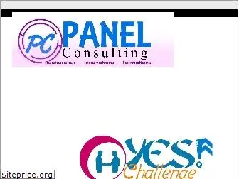panelconsultings.com