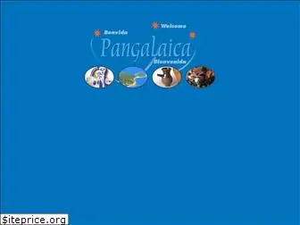 pangalaica.com