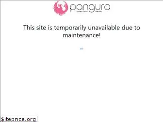 pangura.com