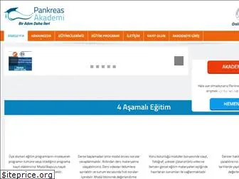 pankreasakademi.org