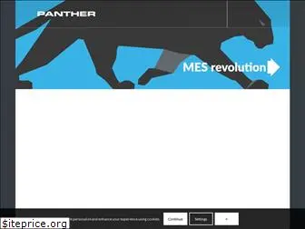 panthersys.com