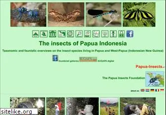 papua-insects.nl