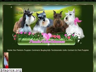 paradisevalleyschnauzers.com