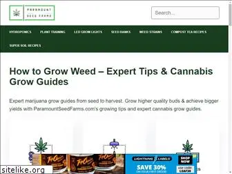 paramountseedfarms.com