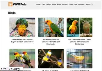 parrot-and-conure-world.com