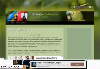 parrotfeather.com