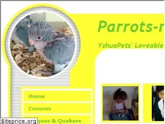 parrots-n-paradise.com