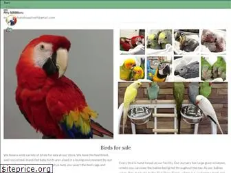 parrotsforsalenearme.com