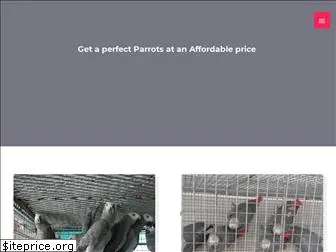 parrotsfurhome.com