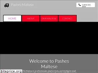 pashes-maltese.com