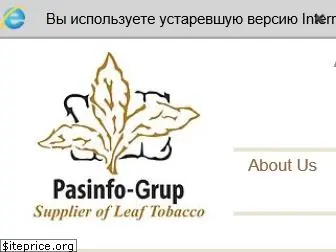 pasinfo-grup.com