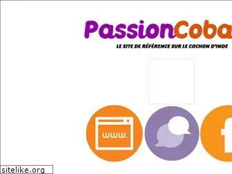 passioncobaye.com