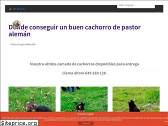 pastoralemancachorros.com